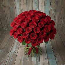Букет 55 Красных роз Фридом #REPLACE_PRED# Жерновце
