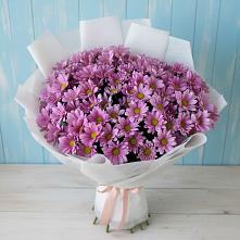 Букет цветов из:  Хризантемы в Жерновце