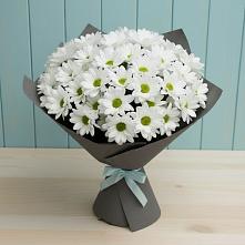 Букет цветов из:  Хризантемы #REPLACE_PRED# Жерновце