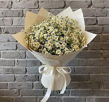 Букет цветов из:  Ромашки в Жерновце