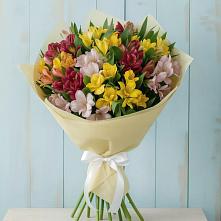 Букет цветов из:  Альстромерии в Жерновце