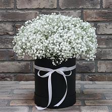 Цветочная композиция из Гипсофила в шляпной коробке #REPLACE_PRED# Жерновце