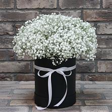 Цветочная композиция из Гипсофила в шляпной коробке в Жерновце