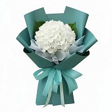 Букет цветов из:  Гортензия в Жерновце
